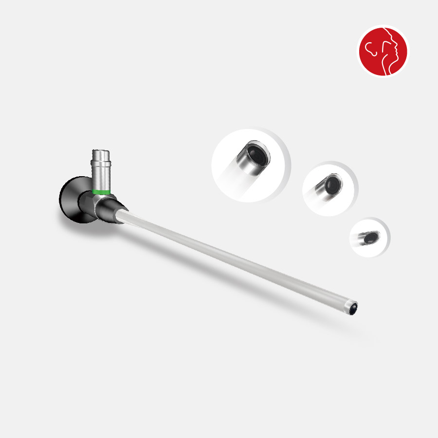 Endoscopic System