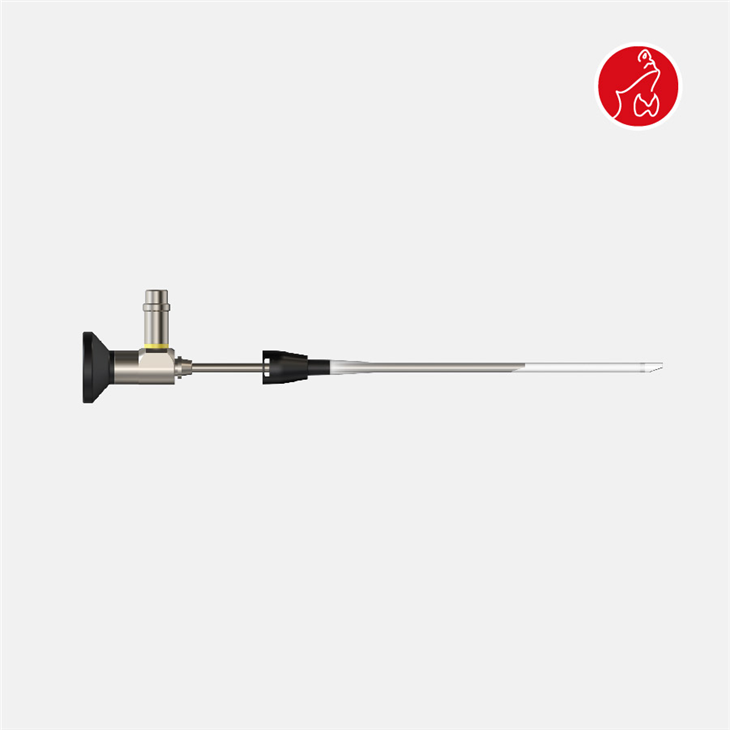 Endoscopic Cannulas