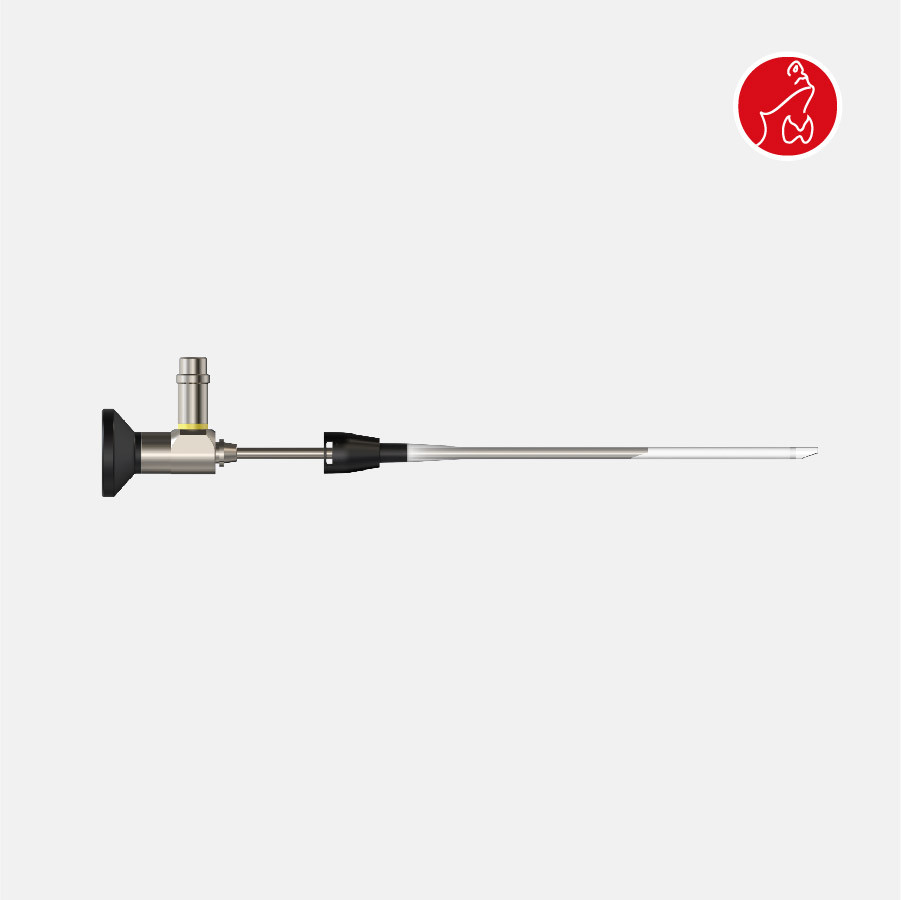 Endoscopic Cannulas for Flexible Endoscope