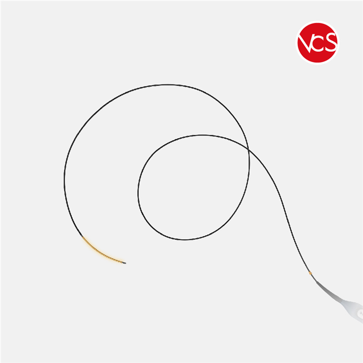 Varicose Vein EndoVenous RF Plasma Closure Catheter