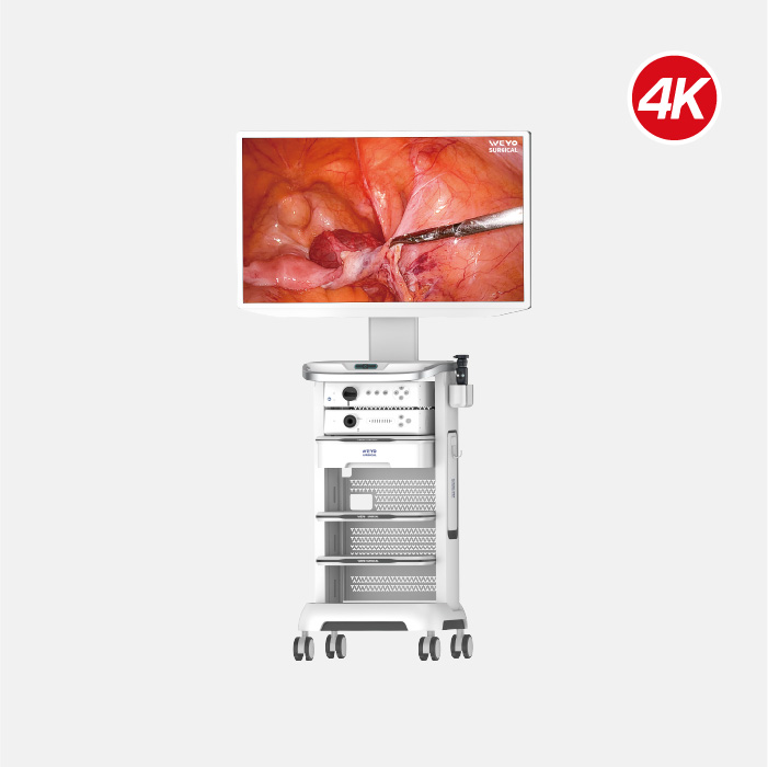 WDubhe Full HD Endoscopic System