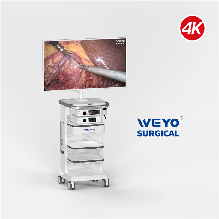WMerak 4K UHD Endoscopic System